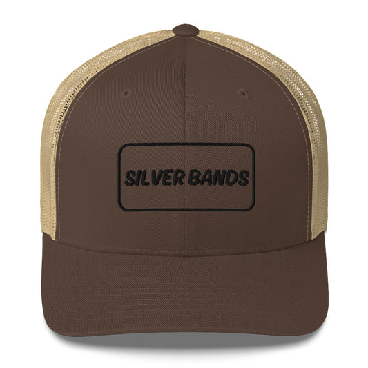 Silver Bands Hat